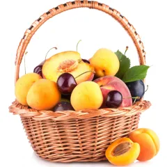 Obst-Essige