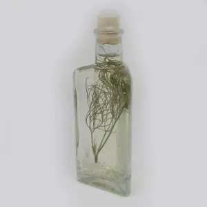 Bavarian Champagne-Dill-Vinegar with 3% fresh Dill 100ml (3.4.oz)