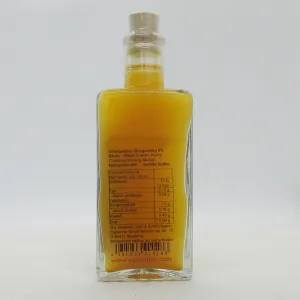 Bavarian Champagne-Mango-Vinegar with 16,7% fresh Mangos 100ml  (3.4.oz)