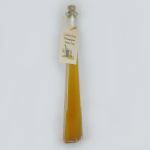 Champagner-Mango-Essig mit 16,7% frischen Mangos 200ml