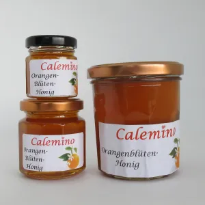 Orangenblüten-Honig 350g