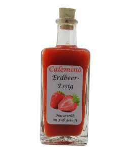 Erdbeer-Essig mit 50% frischen Erdbeeren naturtrüb 100ml
