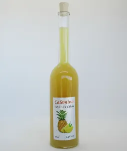 Exotischer Fruchtlikör Ananas-Likör 15,4% vol 200ml