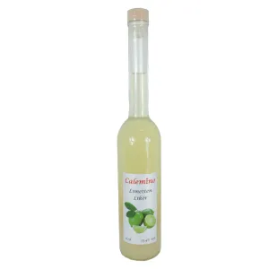Exotischer Fruchtlikör Limetten-Likör 15,4% vol 500ml Designerflasche