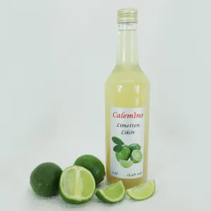 Exotischer Fruchtlikör Limetten-Likör 15,4% vol 500ml