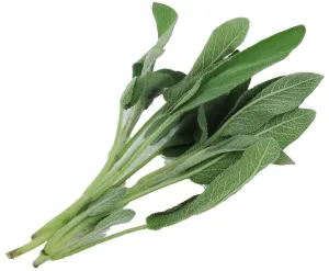 Sage stalks with whole leaves dried 10g