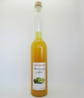Exotisch erfrischender Fruchtlik...